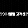라이나생명 고객센터 전화번호(+ 빠르고 쉬운 보험 서비스 이용 방법) 13