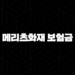 메리츠화재 보험금 청구서류 A to Z : 놓치기 쉬운 필수 정보 총정리! 13