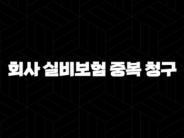 회사 실비보험 중복 청구(+ 개인 실비와 함께 있다면? 비례보상 완벽 정리!) 37