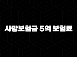 사망보험금 5억 보험료, 얼마가 적당할까요? (꼼꼼 비교 분석) 21