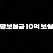 사망보험금 10억 보험료(+ 꼼꼼히 알아보고 현명하게 준비해요!) 15