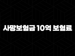 사망보험금 10억 보험료(+ 꼼꼼히 알아보고 현명하게 준비해요!) 33
