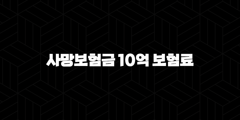 사망보험금 10억 보험료(+ 꼼꼼히 알아보고 현명하게 준비해요!) 10 사망보험금 10억 보험료(+ 꼼꼼히 알아보고 현명하게 준비해요!) 9