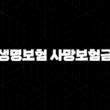 생명보험 사망보험금(+ 남은 가족을 위한 든든한 울타리 알아보기) 13