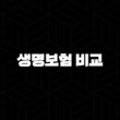 생명보험 비교(+ 2025년 최신 정보로 알아보는 현명한 선택 가이드) 13