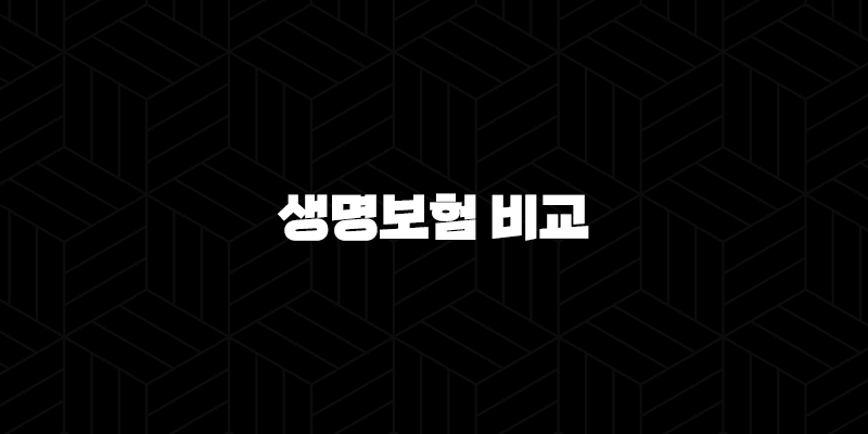 생명보험 비교(+ 2025년 최신 정보로 알아보는 현명한 선택 가이드) 10 생명보험 비교(+ 2025년 최신 정보로 알아보는 현명한 선택 가이드) 9