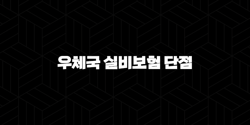 우체국 실비보험 단점 완벽 분석(+ 가입 전 필독 가이드) 10 우체국 실비보험 단점 완벽 분석(+ 가입 전 필독 가이드) 9