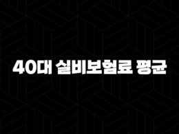 40대 실비보험료 평균(+ 2025년 최신 정보와 가입 꿀팁 총정리!) 27