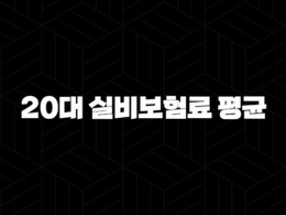 20대 실비보험료 평균(+ 지금 바로 확인하고 현명하게 대비해요!) 17