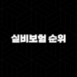 실비보험 순위 2025 최신 정보 - 나에게 맞는 보험 현명하게 선택하는 방법 13