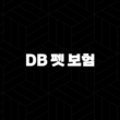 2025년 DB 펫 보험 안심하고 댕냥이 맡기세요(+ DB 펫 보험 파헤치기) 15