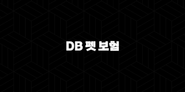 2025년 DB 펫 보험 안심하고 댕냥이 맡기세요(+ DB 펫 보험 파헤치기) 36