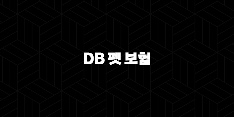 2025년 DB 펫 보험 안심하고 댕냥이 맡기세요(+ DB 펫 보험 파헤치기) 19