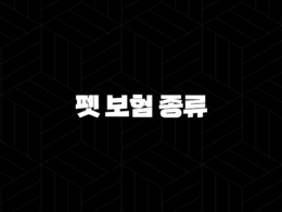 2025년 펫 보험 종류 꼼꼼 비교(+ 우리 댕냥이를 위한 맞춤 펫 보험 종류 완전 분석) 25