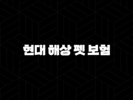2025년 현대 해상 펫 보험 안심하세요(+ 꼼꼼히 파헤쳐보는 현대 해상 펫 보험의 모든 것) 25