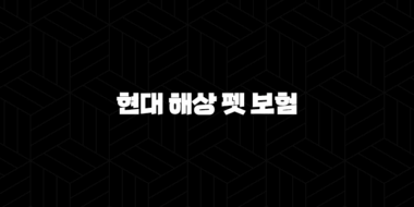 2025년 현대 해상 펫 보험 안심하세요(+ 꼼꼼히 파헤쳐보는 현대 해상 펫 보험의 모든 것) 25