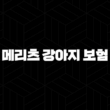 2025년 메리츠 강아지 보험 우리 댕댕이를 위한 최고의 선택 - 메리츠 강아지 보험 13