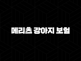 2025년 메리츠 강아지 보험 우리 댕댕이를 위한 최고의 선택 - 메리츠 강아지 보험 33