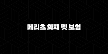 2025년 꼼꼼 분석 - 메리츠 화재 펫 보험 : 펫팸족을 위한 필수 가이드 29