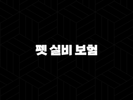 2025년 펫 실비 보험 가이드(+ 현명한 선택으로 반려동물 건강 지키기) 37