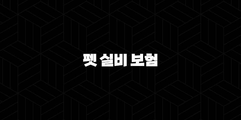 2025년 펫 실비 보험 가이드(+ 현명한 선택으로 반려동물 건강 지키기) 10 2025년 펫 실비 보험 가이드(+ 현명한 선택으로 반려동물 건강 지키기) 9