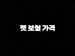 2025년 펫 보험 가격 꼼꼼 비교 가이드 - 우리 아이 맞춤 펫 보험 가격, 얼마나 나올까? 25