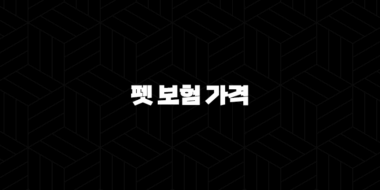 2025년 펫 보험 가격 꼼꼼 비교 가이드 - 우리 아이 맞춤 펫 보험 가격, 얼마나 나올까? 25