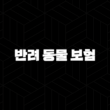 2025년, 반려 동물 보험 반려 생활을 위한 선택 - 꼼꼼 비교 반려 동물 보험 가이드 15