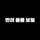 2025년, 반려 동물 보험 반려 생활을 위한 선택 - 꼼꼼 비교 반려 동물 보험 가이드 105