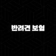 7가지 반려견 보험 필수 확인 사항(+ 2025년 스마트한 반려견 보험 선택 가이드) 15