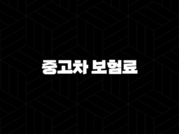 긴급! 중고차 보험료 완벽 분석 - 2025년 똑똑하게 아끼는 7가지 방법 25