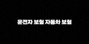 2025년 핵심 비교 분석(+ 운전자 보험 자동차 보험의 모든 것) 37