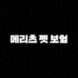 2025년 안심하세요 - 메리츠 펫 보험으로 소중한 반려동물 건강 지키기 15