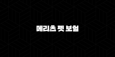 2025년 안심하세요 - 메리츠 펫 보험으로 소중한 반려동물 건강 지키기 29