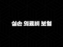 2025년 실손 의료비 보험 - 가입 전 꼭 알아야 할 10가지 핵심 정보 - 실비보험 비교, 추천, 보장 범위, 자기부담금 25