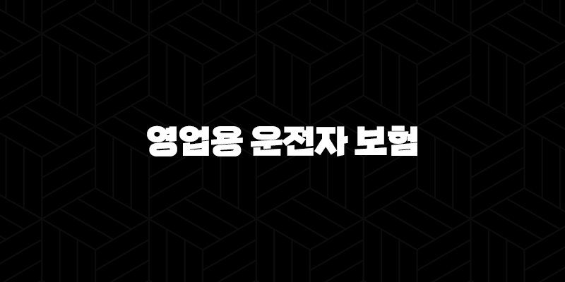 2025년 영업용 운전자 보험(+ 무엇을 어떻게 가입해야 할까요?) 10 2025년 영업용 운전자 보험(+ 무엇을 어떻게 가입해야 할까요?) 9