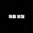 2025년 워홀 보험, 완벽 가이드(+ 국가별 요건 & 비용 절약 꿀팁 10가지) 13