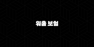 2025년 워홀 보험, 완벽 가이드(+ 국가별 요건 & 비용 절약 꿀팁 10가지) 25