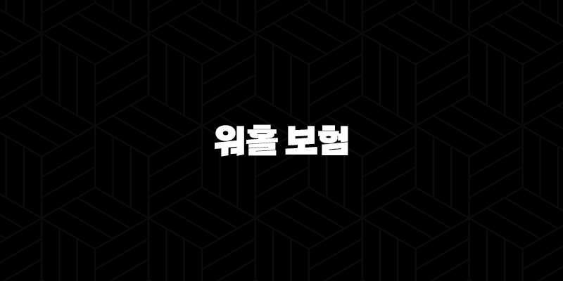 2025년 워홀 보험, 완벽 가이드(+ 국가별 요건 & 비용 절약 꿀팁 10가지) 89