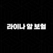 2025년 라이나 암 보험, 10가지 질문으로 완벽 해부 - 내게 맞는 보장은 무엇일까? 15