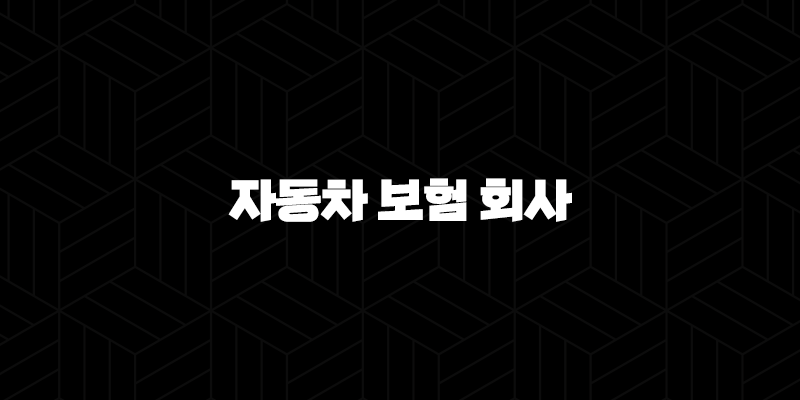 2025년 자동차 보험 회사 선택 가이드 : 10가지 핵심 정보와 비교 분석 10 2025년 자동차 보험 회사 선택 가이드 : 10가지 핵심 정보와 비교 분석 9