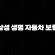 삼성 생명 자동차 보험(+ 2025년 알아야 할 모든 것 : 가입, 종류, 혜택, 변경) 13