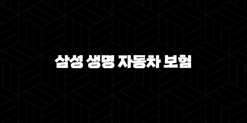 삼성 생명 자동차 보험(+ 2025년 알아야 할 모든 것 : 가입, 종류, 혜택, 변경) 9