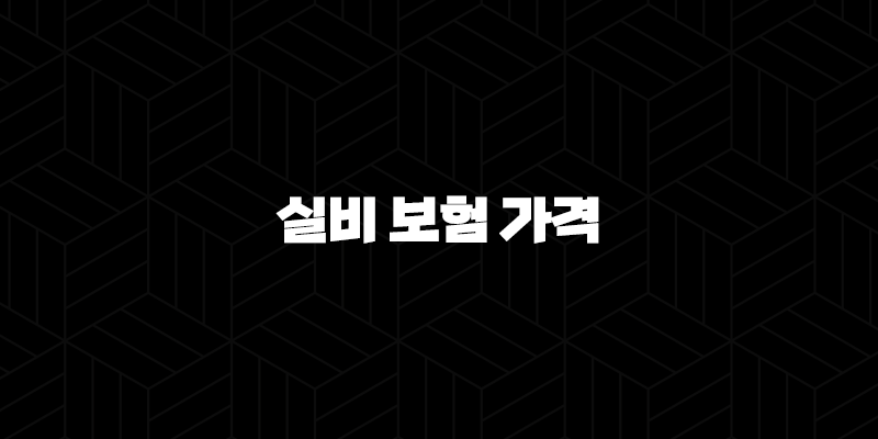 2025년 실비 보험 가격 : 완벽 분석 및 최신 정보 - 20대, 30대, 인상 요인, 가입 전 필독! 119