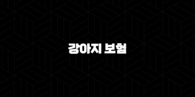 강아지 보험(+ 2025년 10가지 꿀팁과 함께하는 완벽 가이드) 37
