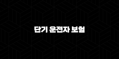 2025년 단기 운전자 보험 가이드(+ 가격, 비교, 추천, 가입 방법 완벽 정리) 29