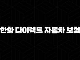 한화 다이렉트 자동차 보험 - 2025년 최신 정보 및 완벽 분석 25
