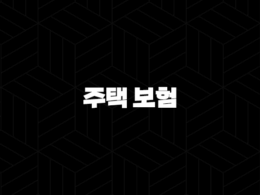 주택 보험 - 2025년 주택 보험 완벽 가이드 : 종류, 추천, 가격 비교, 누수, 공사, 미국 주택 보험 25