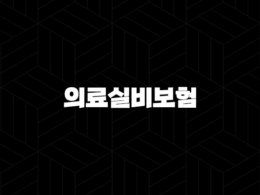 2025년 의료실비보험 - 10가지 핵심 정보와 가입 가이드 29