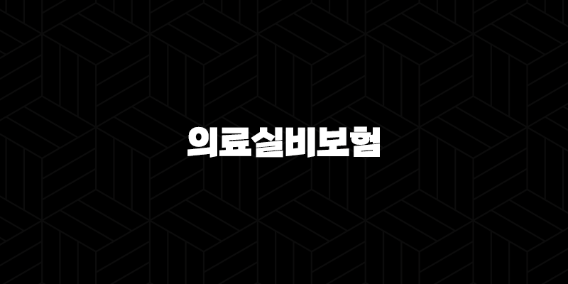 2025년 의료실비보험 - 10가지 핵심 정보와 가입 가이드 10 2025년 의료실비보험 - 10가지 핵심 정보와 가입 가이드 9